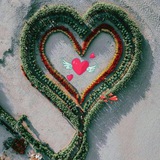Telegram profile photo for نبض خوشبختی(متاهلین)