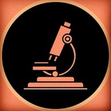 Telegram profile photo for Al-Hadi of Analytics