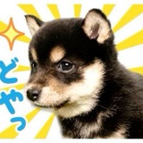 Telegram profile photo for • Архив | Память