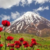 Telegram profile photo for دردنامه