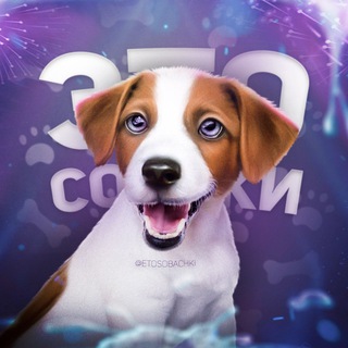 Telegram profile photo for это собачки