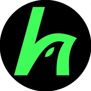 Telegram profile photo for HawkFi | Agent Terminal