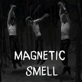 Telegram profile photo for Magnetic Smell News