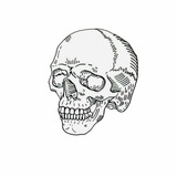 Telegram profile photo for Gang Emoji