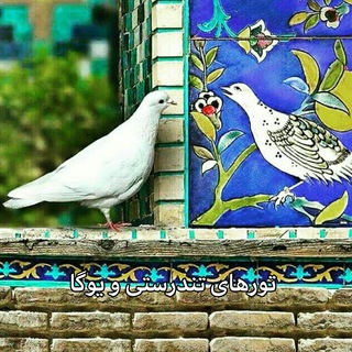 Telegram profile photo for 💥تورهاى تندرستى و يوگا💥