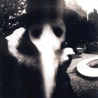Telegram profile photo for πππππ©ππ.