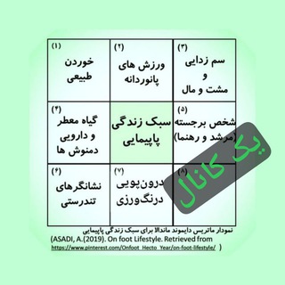 Telegram profile photo for 👣 کانال سبک زندگی پاپیمایی