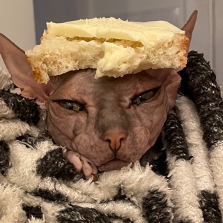 Telegram profile photo for ЖК дискомфорт класу