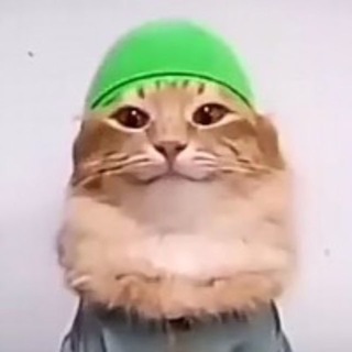 Telegram profile photo for $TABIBI