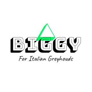 Telegram profile photo for 💚 BIGGY for IGGY 💚