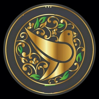 Telegram profile photo for arc