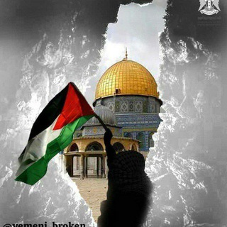Telegram profile photo for - كبرياء تناھيد 🇵🇸