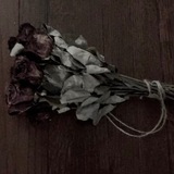 Telegram profile photo for أَفاطِم وليد