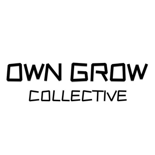 Telegram profile photo for OG Collective
