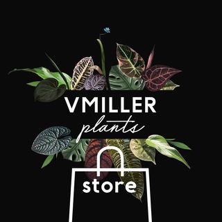 Telegram profile photo for VMILLER plants🌱 store