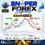 Telegram profile photo for Sniper Forex signals