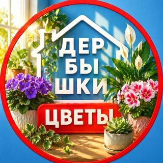 Telegram profile photo for КОМНАТНЫЕ ЦВЕТЫ 🌺 Дербышки