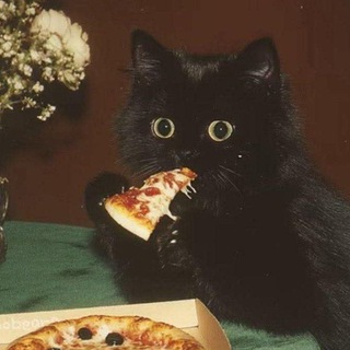 Telegram profile photo for Lolzzz