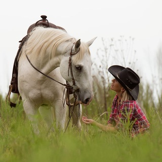 Telegram group profile photo for 🐴 Pferdefreunde ❤️ Passion 4my.horse