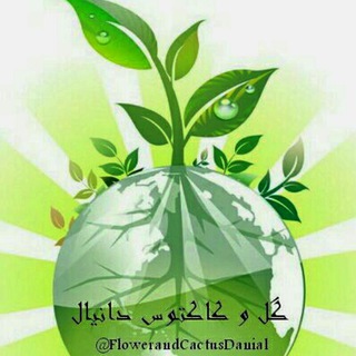 Telegram profile photo for آرشیو گروه گل وکاکتوس