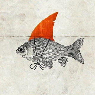 Telegram profile photo for Trapped in the closet