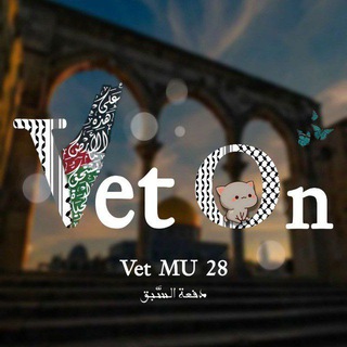 Telegram profile photo for Vet on 4 "28" (جراحة )"🕊🔻