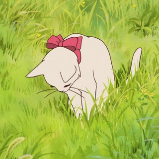 Telegram profile photo for 🌱 вечерняя болтовня подсолнуха 🌱