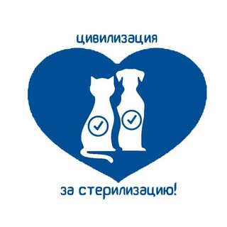 Telegram profile photo for Собачки с Кубани. Стерилизация, пристройство.
