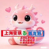 Telegram profile photo for 上海安琪抓龙筋选妃频道