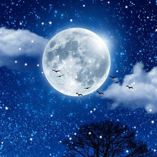Telegram profile photo for قـمـر ..