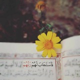 Telegram profile photo for يَكادُ يُضِيء ||°