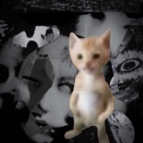 Telegram profile photo for drimillller