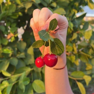Telegram profile photo for خــوٌآطــࢪ لَيـبـيـهّ🍒