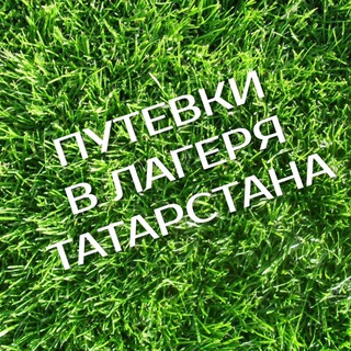 Telegram profile photo for Путевки в лагеря РТ | Городские проекты