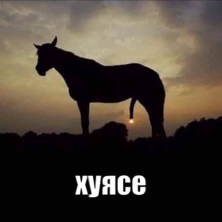 Telegram profile photo for мемиксы