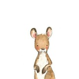 Telegram profile photo for Kanguru.