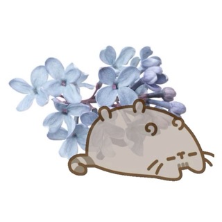 Telegram profile photo for الملاحة