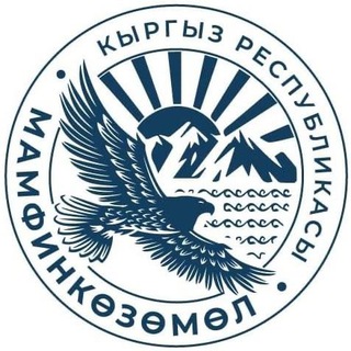 Telegram profile photo for Новости Финнадзора КР