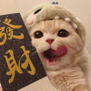 Telegram profile photo for 发财猫数据-🌈全行业抓取