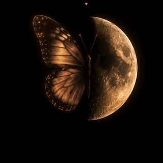 Telegram profile photo for آلاچیق خاطره انگیز🦢🌱