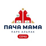 Telegram profile photo for Парк альпак ПАЧА МАМА Сочи Роза Хутор