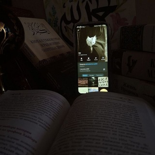 Telegram profile photo for 𝓶𝔃