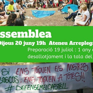 Telegram profile photo for Defensem El Castell🌳✊💚