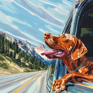 Telegram profile photo for КудаВыжлуНамылил 🚌