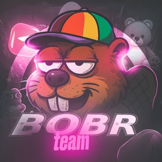 Telegram profile photo for BOBR Team