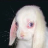 Telegram profile photo for 4GR0VK1D