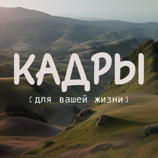 Telegram profile photo for 🆕КАДРЫ 🎞️ сторис | стикеры