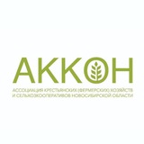 Telegram profile photo for АККОН