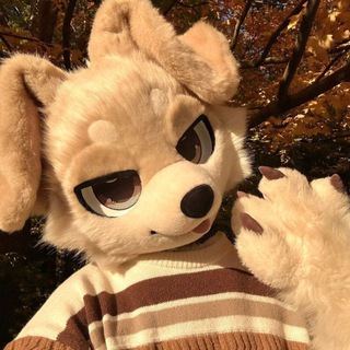 Telegram profile photo for Fuck 🐝