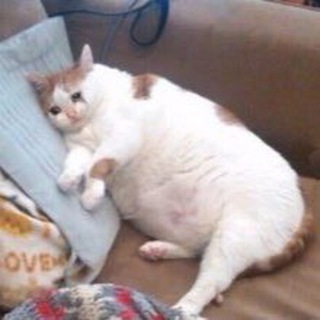 Telegram profile photo for Ну штош, присаживайся